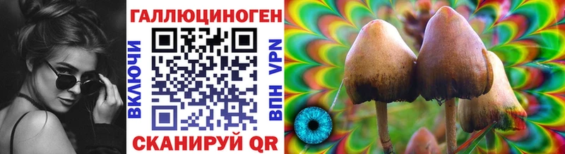 Псилоцибиновые грибы мухоморы  Хасавюрт 